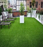 Green Polypropylene 35 Mm High Density 6.5 X 6 Feet Artificial Grass
