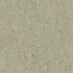 Marmoleum Terra - River Bank